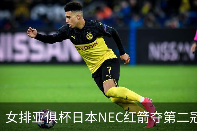 女排亚俱杯日本NEC红箭夺第二冠 佐藤淑乃荣膺MVP
